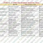 Фото розробки: Адаптована навчальна програма “Мистецтво” 8 клас НУШ (на основі модельної програми авт. Кондратова)