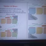 Фото розробки: Збірник карток-шаблонів для формувального оцінювання для 5-11 класів