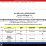 Фото розробки: КАЛЕНДАРНИЙ ПЛАН 9 КЛАС/2025-2026/1185 на 70 годин