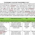 Календарне планування з курсу “Технології” 6 клас НУШ автор Ходзинська І. з групами результатів на 2025-2026 н.р. 70 год