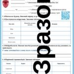 Фото розробки: Робочий зошит з біології 8 клас НУШ (І семестр) до підручника П.Балан