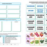 Фото розробки: !!! БІОЛОГІЯ 8 кл НУШ. РОБОЧІ АРКУШІ. ЛЮДИНА – БІОСОЦІАЛЬНА ІСТОТА. НАУКИ, ЩО ВИВЧАЮТЬ ЛЮДИНУ. МЕТОДИ ДОСЛІДЖЕННЯ ОРГАНІЗМУ ЛЮДИНИ