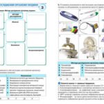 Фото розробки: !!! БІОЛОГІЯ 8 кл НУШ. РОБОЧІ АРКУШІ. ЛЮДИНА – БІОСОЦІАЛЬНА ІСТОТА. НАУКИ, ЩО ВИВЧАЮТЬ ЛЮДИНУ. МЕТОДИ ДОСЛІДЖЕННЯ ОРГАНІЗМУ ЛЮДИНИ