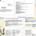 Фото розробки: Навчальна програма з української літератури 7клас 2025/2026 н.р. укладена на основі модельної навчальної програми Яценко, до підручника Авраменка