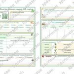 Фото розробки: Робочий аркуш до теми “Чому біологію вважають наукою ХХІ сторіччя”. Біологія 7 клас НУШ