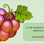 Фото розробки: Заняття для дітей дошкільного віку “Осінні дарунки”