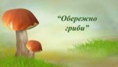 Заняття для дітей старшого дошкільного віку “Обережно гриби”