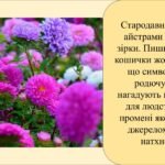 Фото розробки: Заняття для дітей дошкільного віку “Букет осінніх квітів”