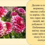 Фото розробки: Заняття для дітей дошкільного віку “Букет осінніх квітів”