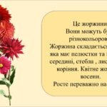 Фото розробки: Заняття для дітей дошкільного віку “Букет осінніх квітів”