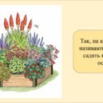 Фото розробки: Заняття для дітей дошкільного віку “Букет осінніх квітів”