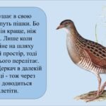 Фото розробки: Заняття для дітей дошкільного віку “Осінні перельоти”