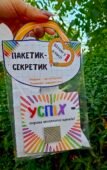 Пакетик-секретик для привітання з 1 вересня