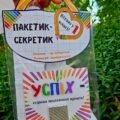 Пакетик-секретик для привітання з 1 вересня