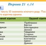 Фото розробки: Презентація “Повторення. Іменник. Прикметник” (7 клас НУШ за підручником А.В. Онатій, Т.П. Ткачука)