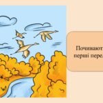 Фото розробки: Заняття для дітей дошкільного віку “Осінні зміни в природі”
