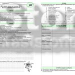 Фото розробки: !!! КОНТРОЛЬНА РОБОТА З БІОЛОГІЇ 10 кл. ТЕМА 1. ВСТУП. БІОРІЗНОМАНІТТЯ