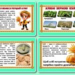 Фото розробки: !!! ДЕНЬ ХЛІБА – 16 ЖОВТНЯ. АНІМОВАНА ІНФОРМАЦІЙНА ПРЕЗЕНТАЦІЯ (33 слайди)