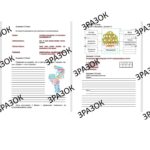 Комплексна підсумкова робота з історії 6 клас Щупак (інтегрований курс) з теми: «Людина і сім’я. Я і моя історія» за ГР