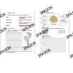 Комплексна підсумкова робота з історії 6 клас Власова з ГР з теми: «Людина і сім’я. Я і моя історія» за ГР