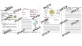 Комплексна підсумкова робота з історії 6 клас Власова з ГР з теми: «Людина і сім’я. Я і моя історія» за ГР