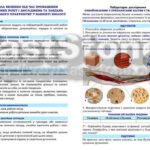 Фото розробки: !!! БІОЛОГІЯ 8 КЛ НУШ. РОБОЧІ АРКУШІ + НАОЧНІСТЬ. ТКАНИНИ ОРГАНІЗМУ ЛЮДИНИ