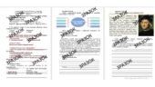 Комплексна підсумкова робота історія всесвітня Щупак 8 клас «Економіка і суспільство раннього нового часу» за ГР