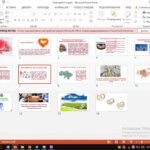 Фото розробки: “5 вересня – Міжнародний день благодійності” – сценарій виховної години + презентація