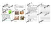 Комплексна підсумкова робота 7 клас історія України Бурлака «Вступ. Виникнення та становлення Русі-України» за ГР
