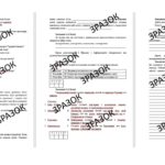 Комплексна підсумкова робота 6 клас історія Пометун «Вступ.Людина й суспільство в первісні часи» за ГР