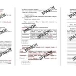 Комплексна підсумкова робота 6 клас історія Піскарьова «Вступ. Життя людей у первісні часи» за ГР