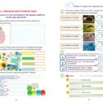 Фото розробки: !!! КТП 5-6 кл. ПІЗНАЄМО ПРИРОДУ. НУШ (Коршевнюк) + МНП 5-6 кл. + МЕТОД. РЕКОМЕНДАЦІЇ + ЗБ. ЗАВДАНЬ + ПЕРЕЛІК ПР.Р