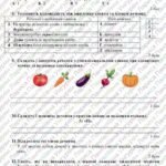 Фото розробки: ГР 4. Діагностувальна робота №1. Повторення та узагальнення вивченого. 6 клас (підручник: Заболотний О. В. та ін.)