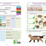 Фото розробки: !!! КТП 5-6 кл. ПІЗНАЄМО ПРИРОДУ. НУШ (Коршевнюк) + МНП 5-6 кл. + МЕТОД. РЕКОМЕНДАЦІЇ + ЗБ. ЗАВДАНЬ + ПЕРЕЛІК ПР.Р