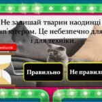 Фото розробки: Техніка безпеки інформатика