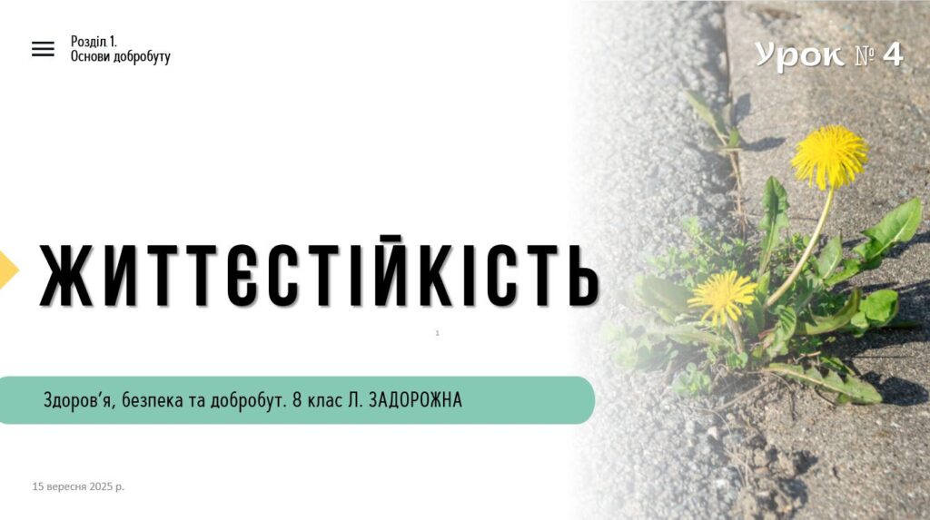 Головне зображення розробки: Життєстійкість. 8 клас, Л. ЗАДОРОЖНА