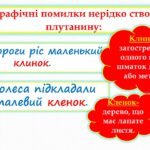 Фото розробки: Орфограма. Орфографічний словник