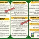 Фото розробки: Вступний інструктаж з безпеки життєдіяльності учнів під час навчально-виховного процесу (на початок навчального року 2025-2026), БЖД