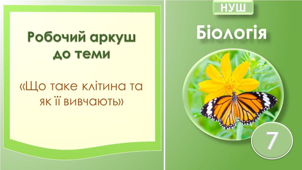 Головне зображення розробки: Робочий аркуш з біології до теми “Що таке клітина та як її вивчають”. 7 клас НУШ