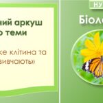 Робочий аркуш з біології до теми “Що таке клітина та як її вивчають”. 7 клас НУШ