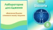 Лабораторне дослідження “Вивчення будови спинного мозку людини”. Біологія 8 клас НУШ