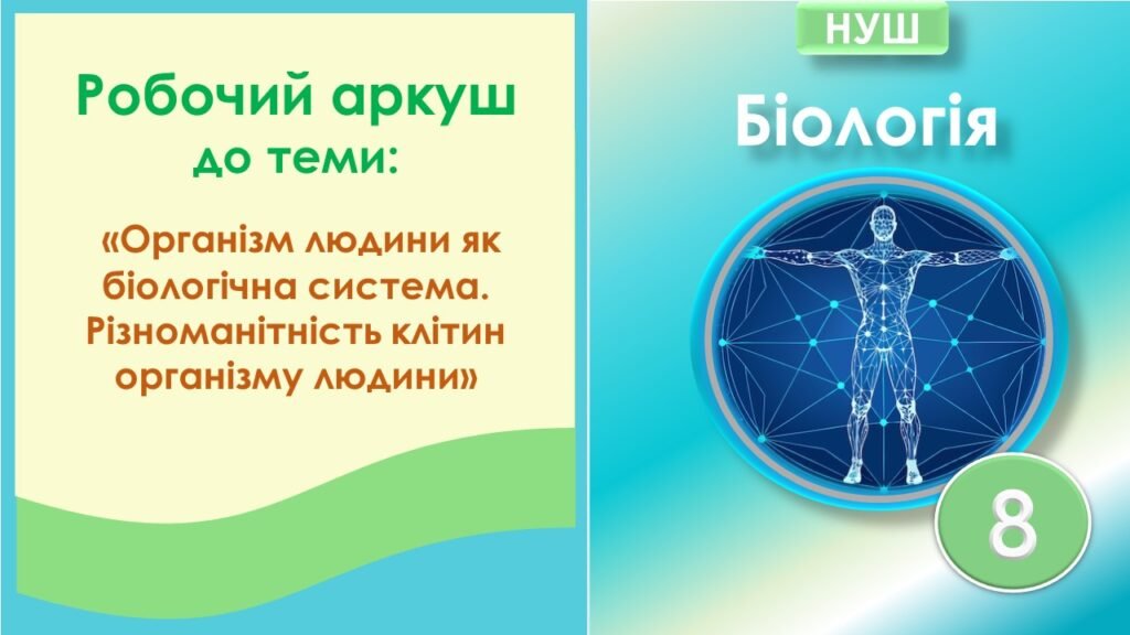 Головне зображення розробки: Робочий аркуш до теми “Організм людини як біологічна система. Різноманітність клітин організму людини”