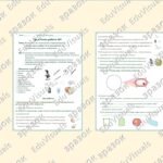 Фото розробки: Практична робота №1 “Виготовлення тимчасових мікропрепаратів та їх дослідження за допомогою оптичного мікроскопа”. Біологія 7 клас НУШ