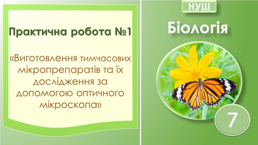 Головне зображення розробки: Практична робота №1 “Виготовлення тимчасових мікропрепаратів та їх дослідження за допомогою оптичного мікроскопа”. Біологія 7 клас НУШ