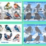 Фото розробки: !!! ПТАХИ – ПЕРНАТІ ДРУЗІ. ПЕРЕЛІТНІ ТА ЗИМУЮЧІ ПТАХИ (оформлення, наочність, аплікації, тіньове лото)