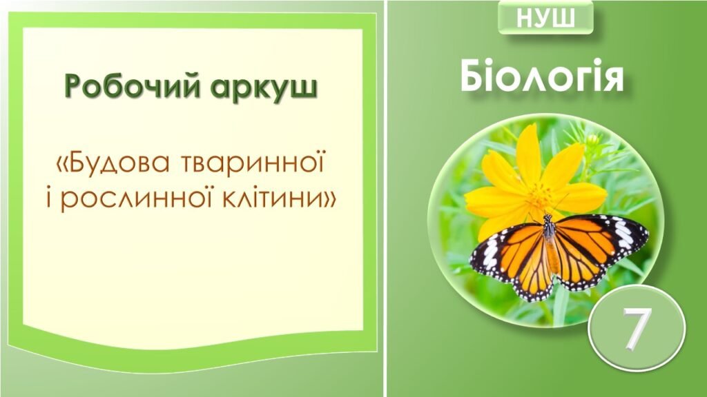 Головне зображення розробки: Робочий аркуш з біології “Будова рослинної і тваринної клітин”.