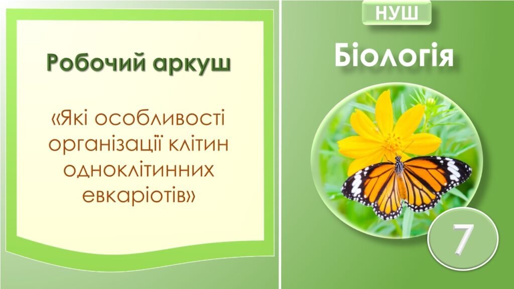 Головне зображення розробки: Робочий аркуш з біології до теми “Які особливості організації клітин одноклітинних евкаріотів”. 7 клас НУШ