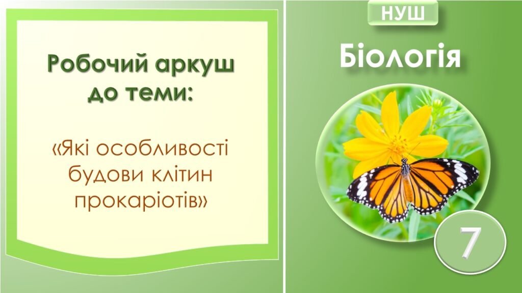 Головне зображення розробки: Робочий аркуш з біології до теми “Які особливості будови клітин прокаріотів”. 7 клас НУШ