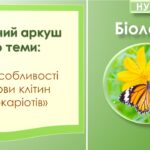 Робочий аркуш з біології до теми “Які особливості будови клітин прокаріотів”. 7 клас НУШ