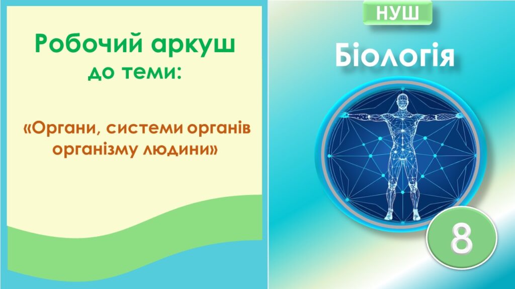 Головне зображення розробки: Робочий аркуш до теми “Органи. Системи органів організму людини”. Біологія 8 клас НУШ